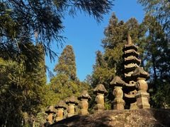 -玉苍山国家森林公园