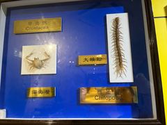 -上海昆虫博物馆