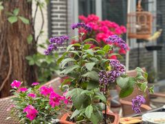 -悦真雅院·四合院·清真私房菜(雍和宫店)
