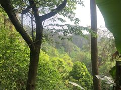-生态园山庄(森林公园店)