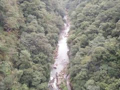 -九龙江国家森林公园