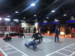 -格斗兄弟搏击健身训练馆(望京店)