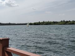 -丁香湖公园