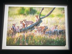 -罗红摄影艺术馆