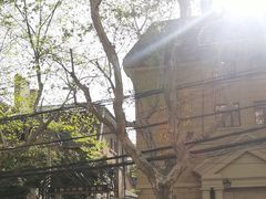 -上海市中医文献馆