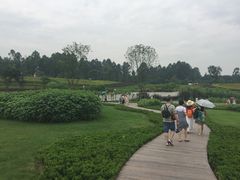 -天府芙蓉园