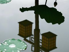 -荔湾湖公园