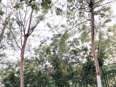 -石家庄市动物园