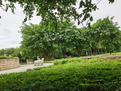 -三圣花乡旅游区