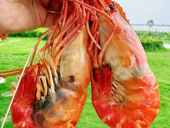-七的湖·晚芳亭·阳澄湖农家菜·大闸蟹(莲花岛店)