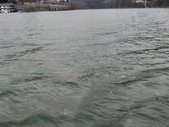 -桐君山春江扬帆码头