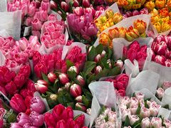 -循礼门鲜花花市(武汉循礼门店)