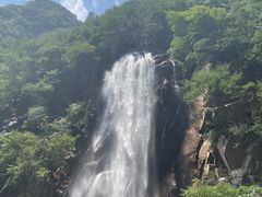 -陕西省红河谷森林公园