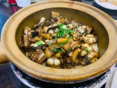 -红星光发煲仔饭(文海店)