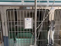 -宠颐生动物医院·小陆分院
