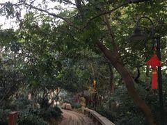 -雨花胜境
