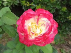 -共青国家森林公园-南大门停车场