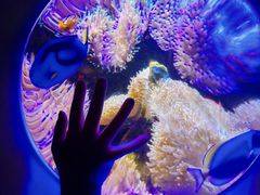 -太平洋海底世界