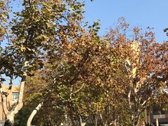 校门-山东省青岛第二中学(江西路分校)