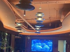 -滇野云南野生菌餐厅(陕西南路店)