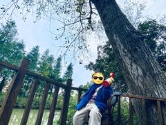 -上海怡沁园度假酒店