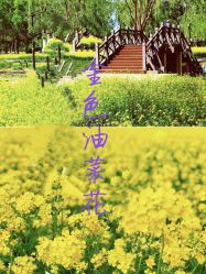 -Oasis Beauty水磨坊科技美肤中心