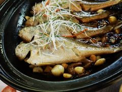 -有喜胶东小馆(超极合生汇太申祥和店)
