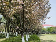 -南京奥林匹克体育中心