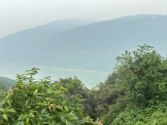 -铁山坪森林公园