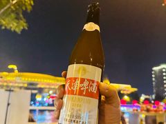 -海河游船(古文化街码头)