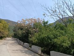 -北京十三陵国家森林公园蟒山景区