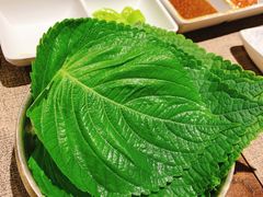 -坦坦大炉·韩式烤肉(望京店)