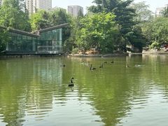 -西苑公园