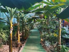-呀路古热带植物园