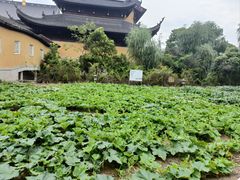 -重元寺香积厨素斋馆