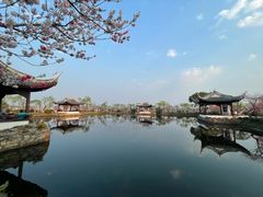 -无锡蠡湖国家湿地公园-蠡园
