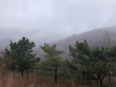 -阳台山自然风景区