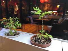 -望京一号·重庆江湖菜(工体店)