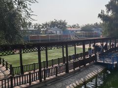 -北京鹿世界主题园