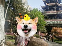 -望江楼公园