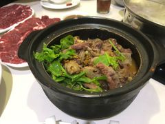 -原野牛肉岛