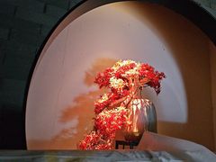 -江南足纪·影院足道·轻奢SPA(笋岗HALO广场店)