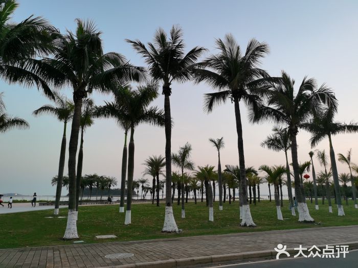 滨海公园图片