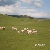 一路开车，大草原辽阔无边。[加油]