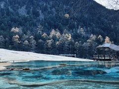 -黄龙山原始森林景区