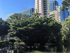 -九龙公园