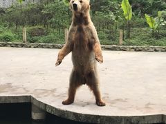 -贵州森林野生动物园