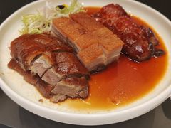 -新雅粤菜馆(南京东路店)