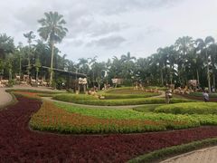 -东芭乐园