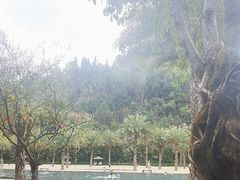 -腾冲洞山温泉村
